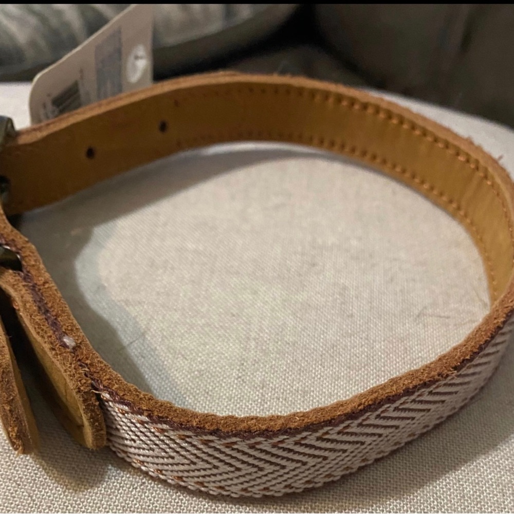 Dog Collar Leather Medium